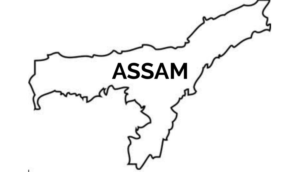 Assam power surplus