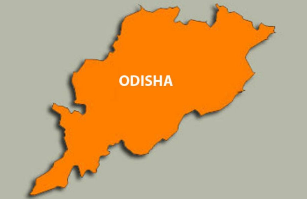 Odisha power surplus